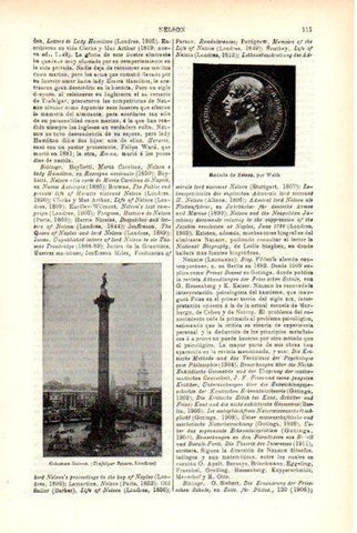 LAMINA V29287: Medalla de Nelson y Columna de Nelson, Londres