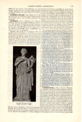 LAMINA V29293: Escultura de Nemesis