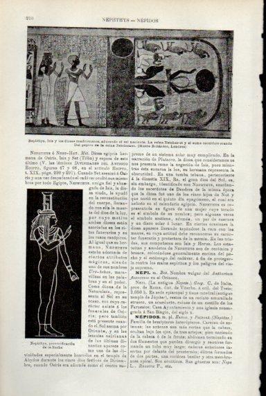 LAMINA V29295: Nephthys, Isis y dioses cuadrumanos, papiro Reina Netchemet