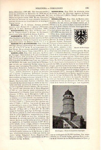 LAMINA V29419: Escudo y torre de la puerta de Nordlingen