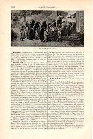 LAMINA V29414: El entierro por L. Nono