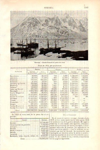 LAMINA V29440: Fiordo durante la pesca del skrei, Noruega