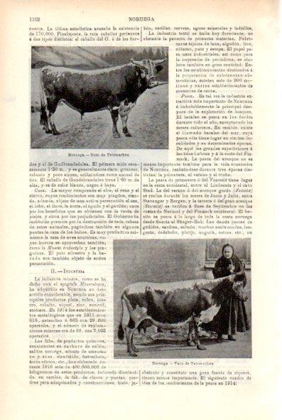 LAMINA V29439: Toro y vaca de Telemarken, Noruega