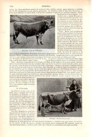 LAMINA V29439: Toro y vaca de Telemarken, Noruega