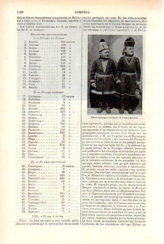 LAMINA V29436: Niños vestidos con traje tradicional de Noruega