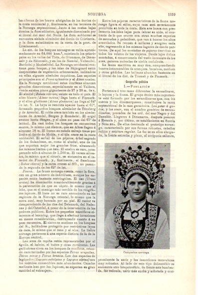 LAMINA V29437: Campesina de Noruega