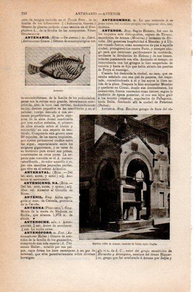 LAMINA V30789: Sepulcro de Antenor