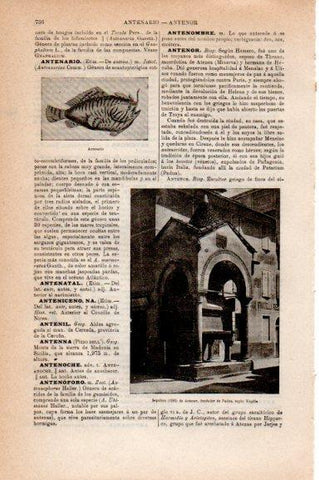 LAMINA V30789: Sepulcro de Antenor