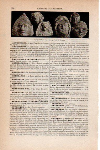 LAMINA V30786: Antefijas del Museo Arqueologico de Tarragona