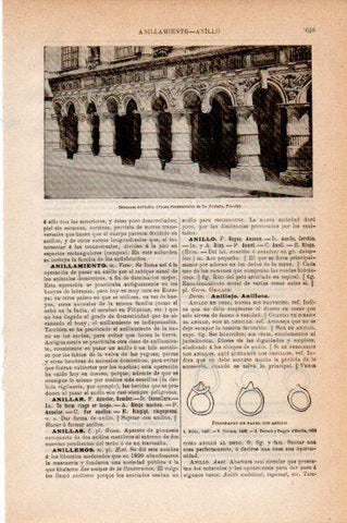 LAMINA V30775: Columnas del ayuntamiento de La Rochela, Francia