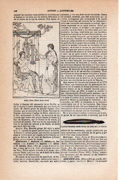 LAMINA V30756: Anfion y Zetos en Palacio Spada