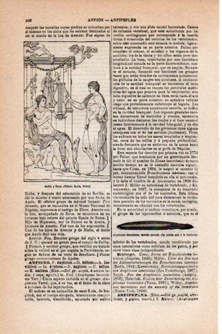 LAMINA V30756: Anfion y Zetos en Palacio Spada