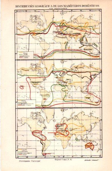 LAMINA V30931: Mapa del mundo de la distribucion geografica de los mamiferos domesticos
