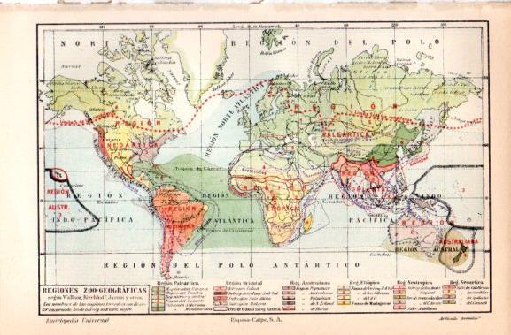 LAMINA V30924: Mapa del mundo de las regiones zoo-geograficas