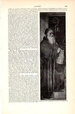LAMINA V30826: San Antonio Abad por B. Luini