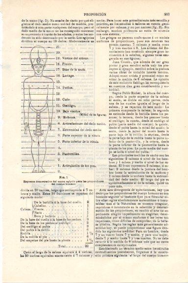 LAMINA V30557: Las proporciones del cuerpo humano segun el canon egipcio