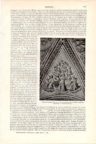 LAMINA V30552: Coro de los profetas de la Catedral de Orvieto, Italia