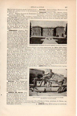 LAMINA V30647: Palacio Pitti y Fuente de Neptuno por Ammanati