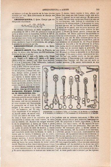LAMINA V30644: Amigdalotomos
