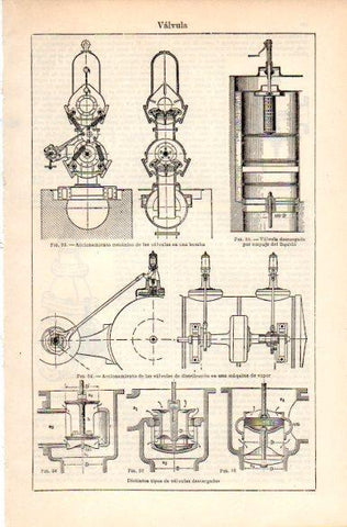 LAMINA V31316: Valvula I