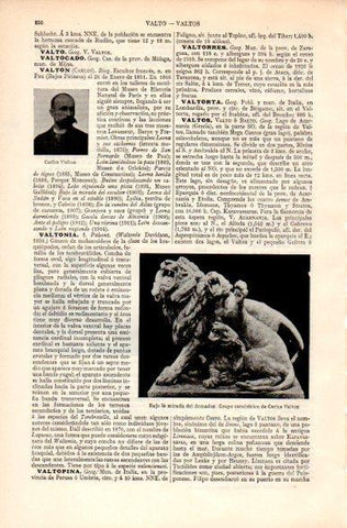 LAMINA V31308: Carlos o Charles Valton