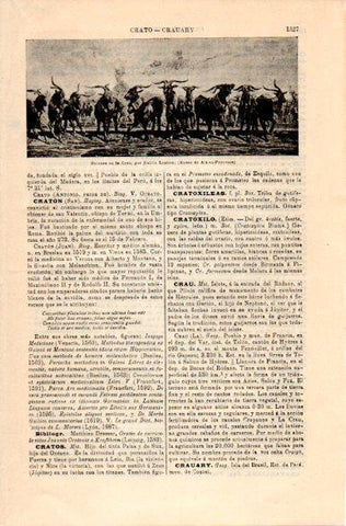 LAMINA V31489: Guiones en la Crau por E. Loubon