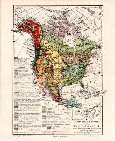 LAMINA V31497: Mapa de la flora de America del Norte en trasera America del Sur