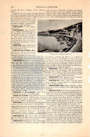 LAMINA V31046: Carretera de la Corniche, Marsella