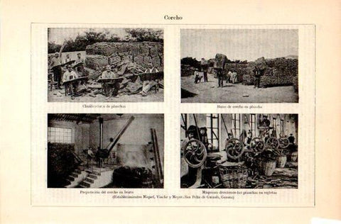 LAMINA V31011: Establecimientos del corcho Miquel, Vincke y Meyer, San Feliu de Guixols