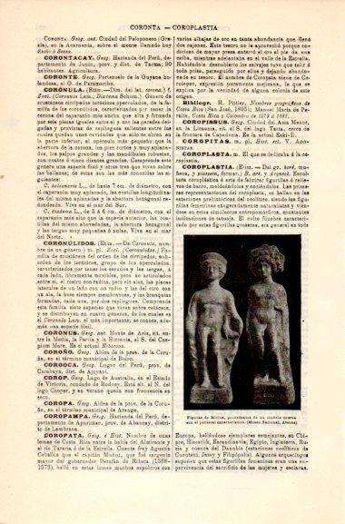 LAMINA V31054: Figuras de Mirina