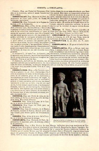 LAMINA V31054: Figuras de Mirina