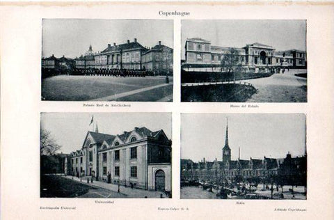 LAMINA V31010: Palacio, Museo, Universidad y Bolsa de Copenhague
