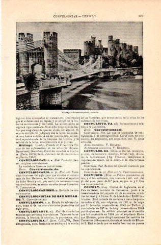 LAMINA V30957: Puente y castillo de Conway, Inglaterra