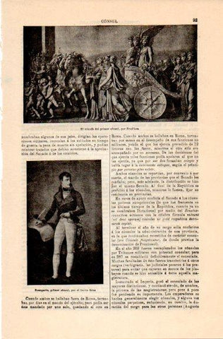 LAMINA V30945: Bonaparte por el baron Gros