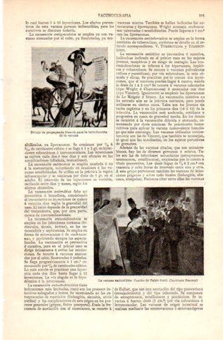 LAMINA V31201: La vacunacion antirrabica por Gsell