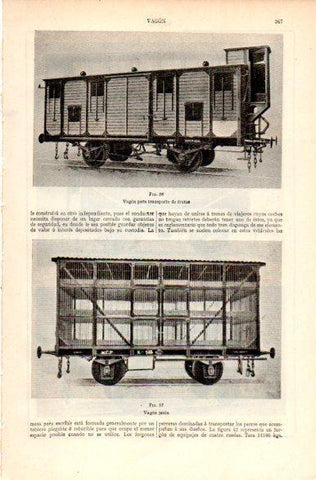 LAMINA V31207: Vagon transporte de frutas y vagon jaula