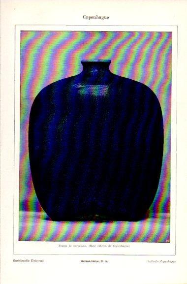 LAMINA V31158: Frasco de porcelana de Copenhague