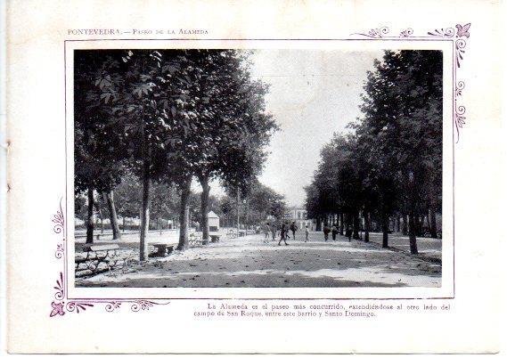 LAMINA V31712: Pontevedra. Paseo de la Alameda