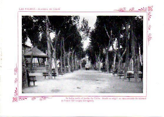 LAMINA V31778: Las Palmas. Alameda de Colon