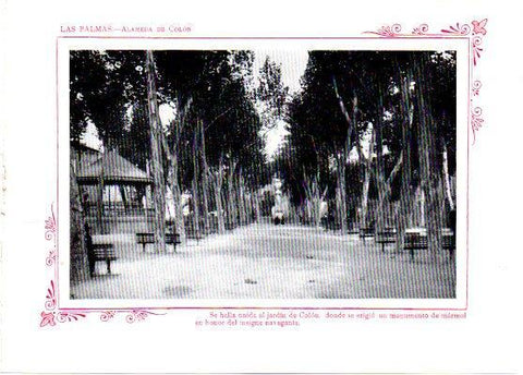 LAMINA V31778: Las Palmas. Alameda de Colon