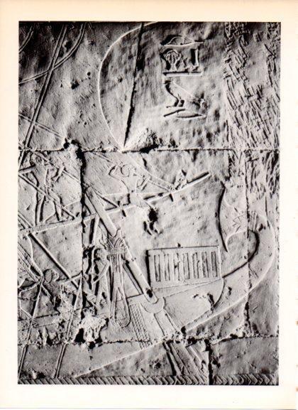 LAMINA V32284: Bajorrelieve egipcio de una expedicion a Punt
