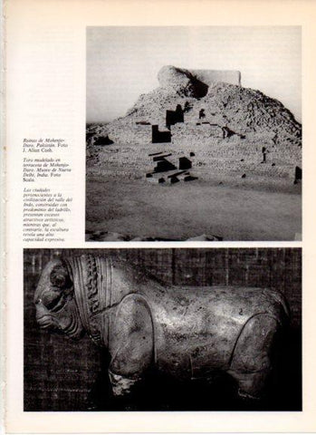 LAMINA V32251: Ruinas y toro de terracota de Mohenjo-Daro, Pakistan