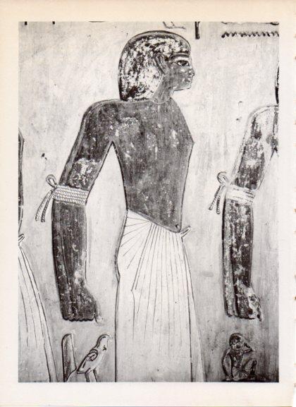 LAMINA V32253: Fresco de la tumba de Seti I, fragmento