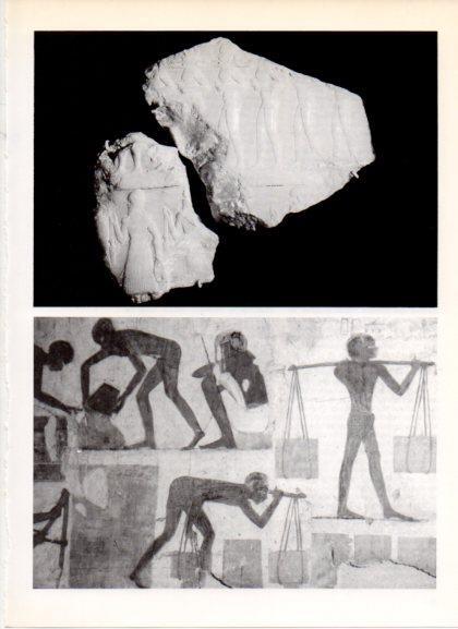 LAMINA V32257: Fresco de la tumba de Rejmare, fragmento