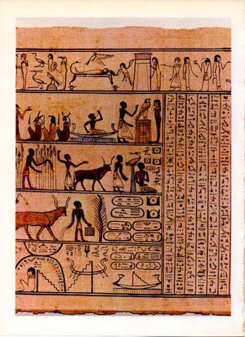 LAMINA V32263: Bajorrelieve egipcio representando una expedicion a Punt