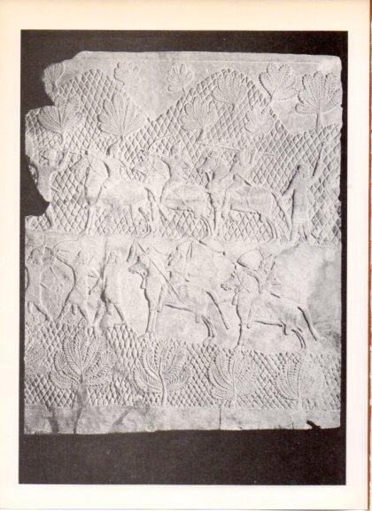 LAMINA V32331: Bajorrelieve de la caballeria del ejercito de Assurbanipal