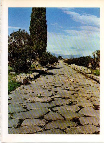 LAMINA V32337: Vis Sacra, Paestum, Salerno en trasera Vaso ritual dinastia Chang