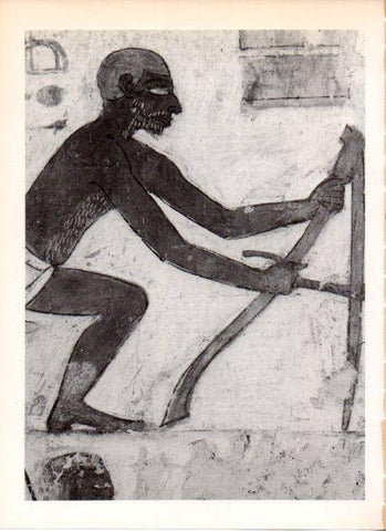LAMINA V32296: Fresco de la tumba del visir Rejmare detalle