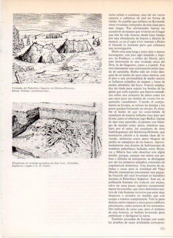 LAMINA V32176: Plataforma de vivienda mesolitica de Star Carr, Inglaterra