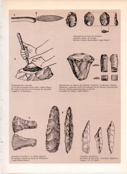 LAMINA V32179: Utensilios mesoliticos